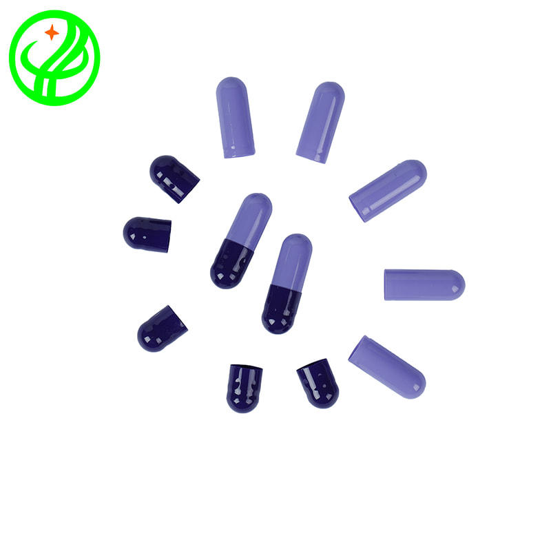 What key role do pharmaceutical empty capsules play in the drug delivery process?
