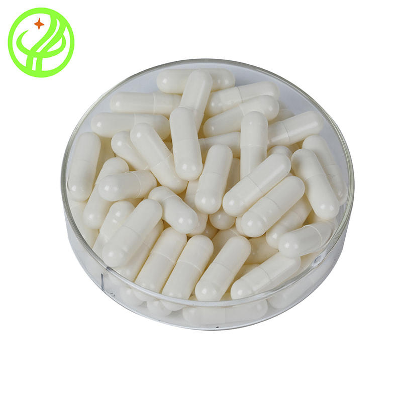 What are the main manufacturing materials of Pharmaceutical Empty Capsules?